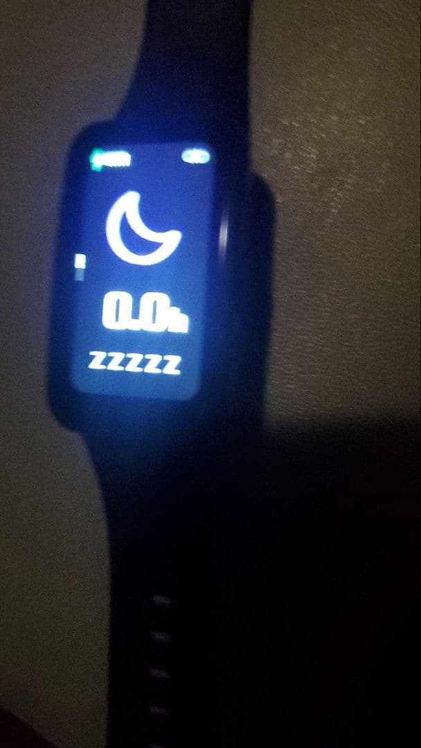 値下げ不可 サウナウオッチ　SHOW DOWN1