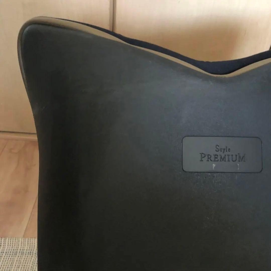 style premium MTG 姿勢矯正 骨盤サポートチェア 座椅子