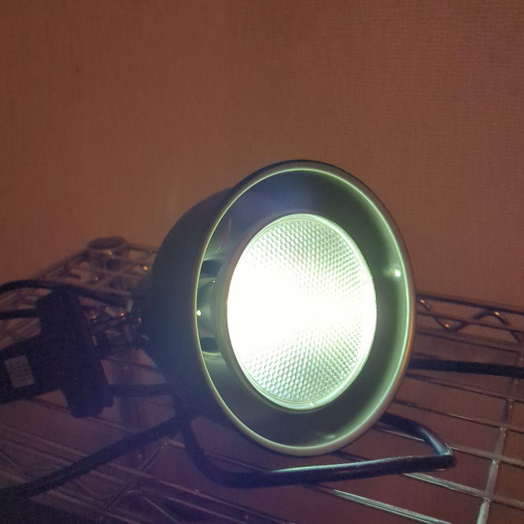 爬虫類照明　メタハラ