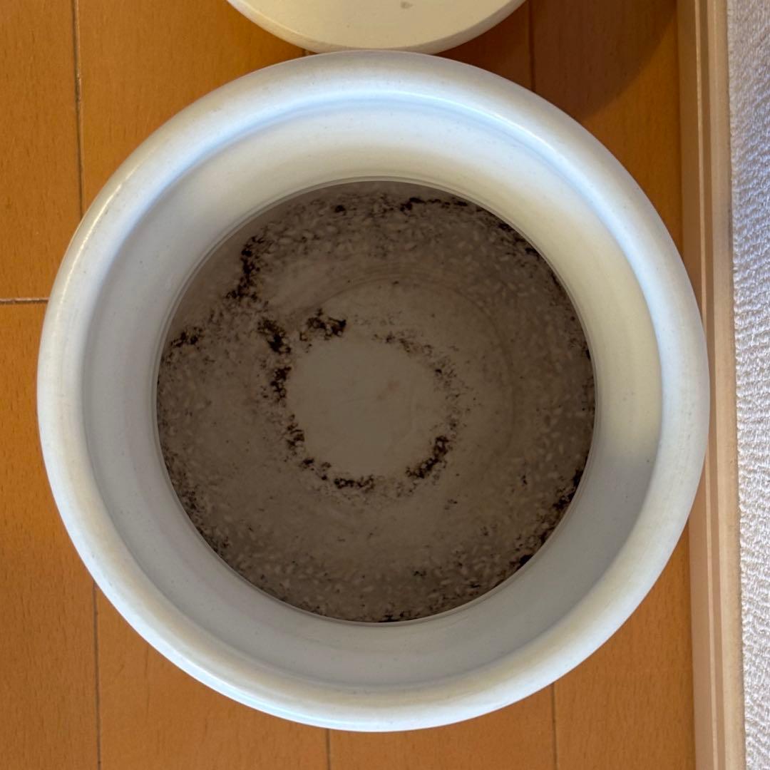 大谷哲也　ライスクッカー (三合)