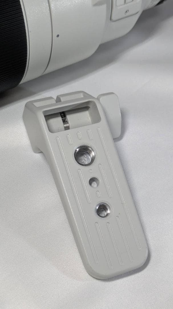 レンズ(ズーム) FE200-600mm F5.6-6.3 G OSS SEL200600G