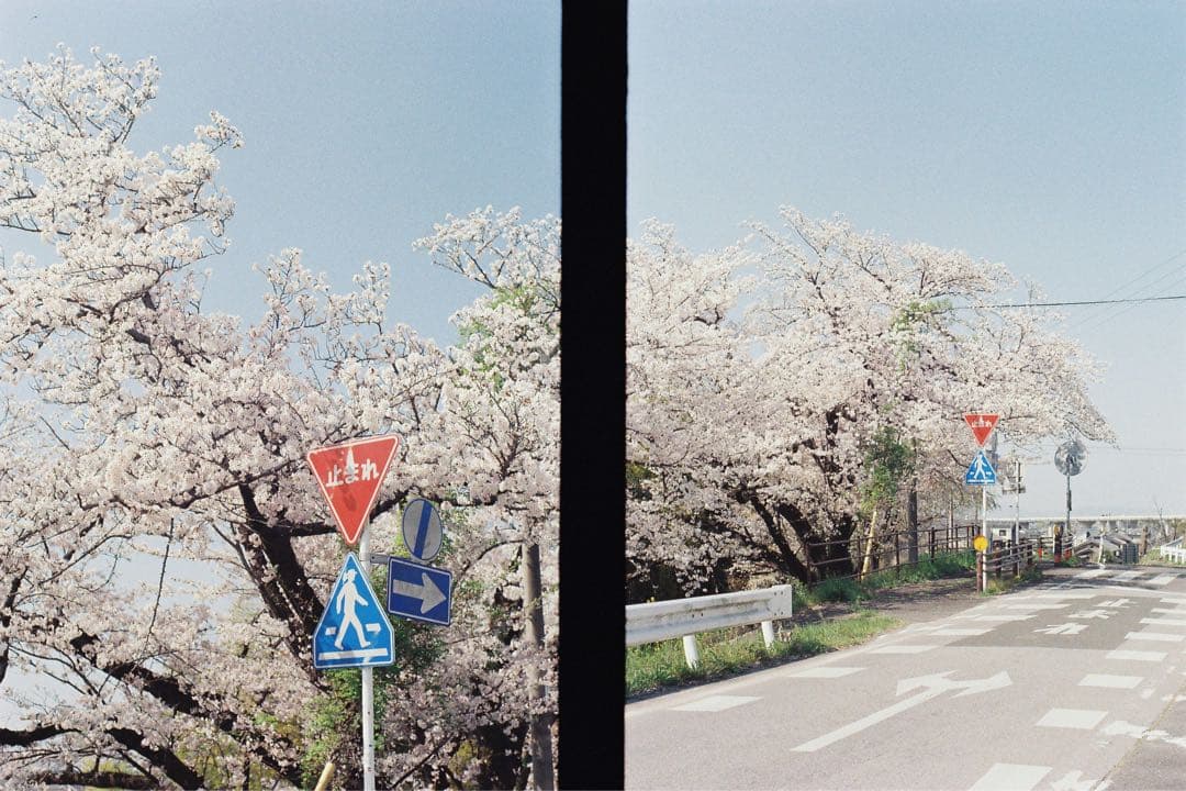 【クモリなし完動品】SAMURAI X4.0 ハーフフィルムカメラ