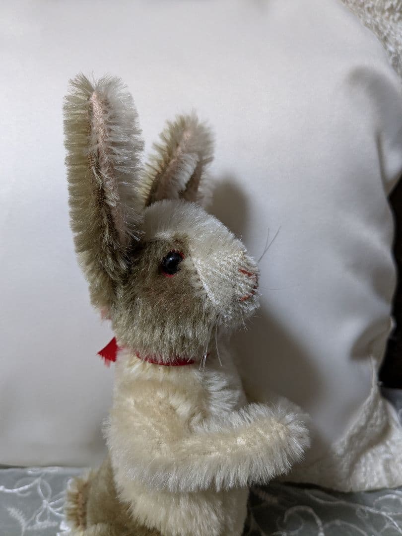 シュタイフラビット