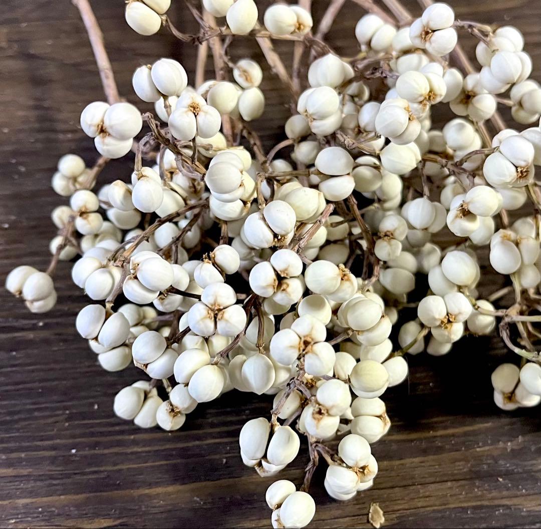 ナンキンハゼ　ドライフラワー