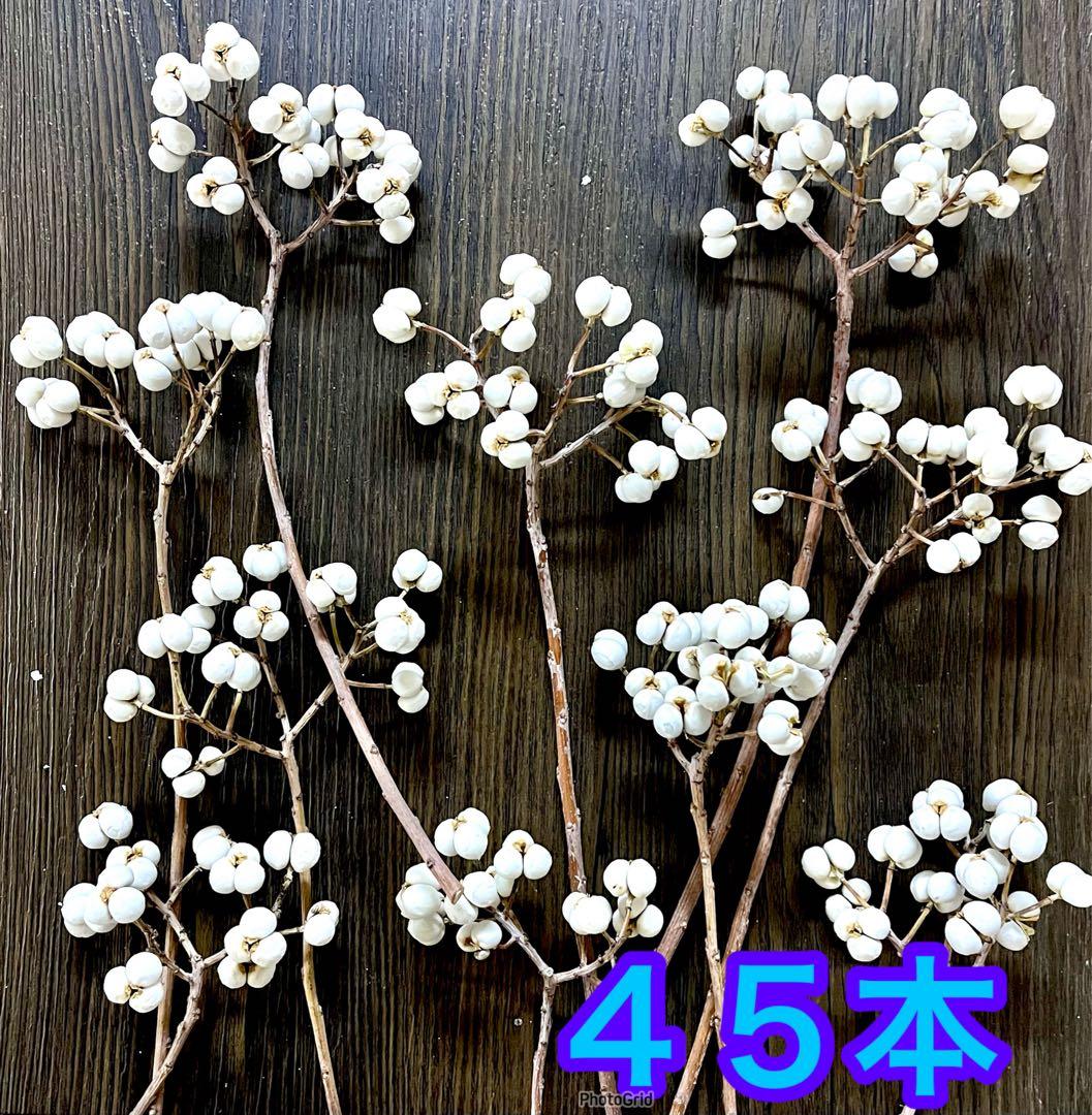 ナンキンハゼ　ドライフラワー