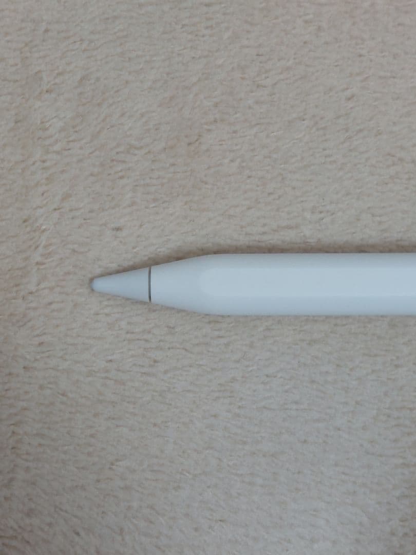 Apple Pencil Type-C iPad アップルペンシル USBC