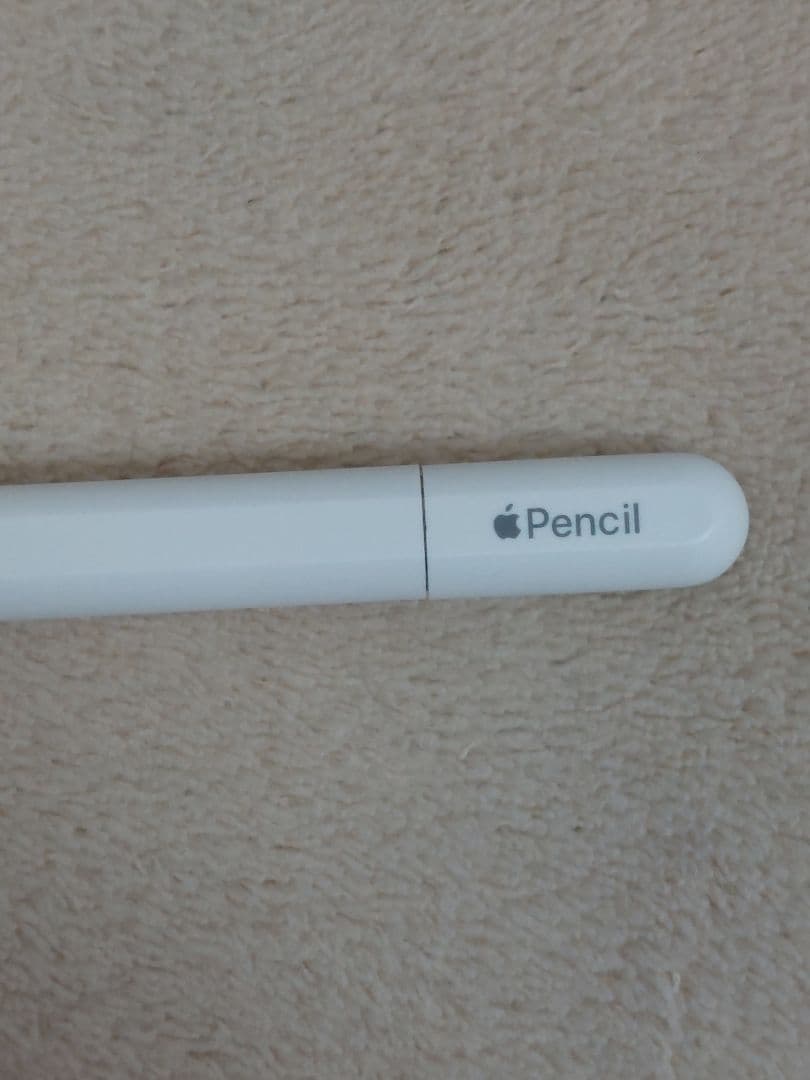 Apple Pencil Type-C iPad アップルペンシル USBC
