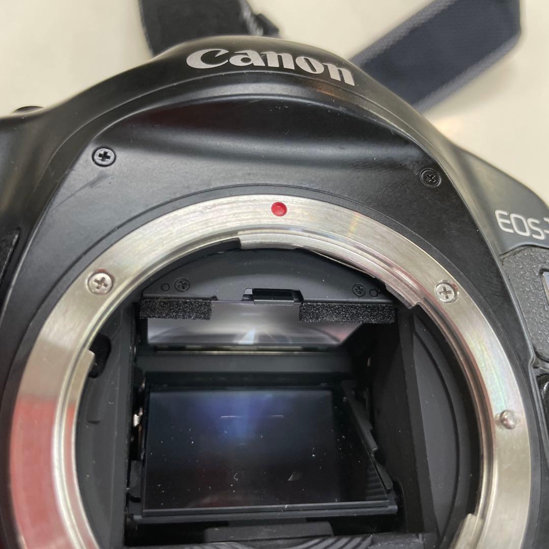 【動作良好】EOS-１V ボディ/シャッターテスト済み完動品！ストラップ付き
