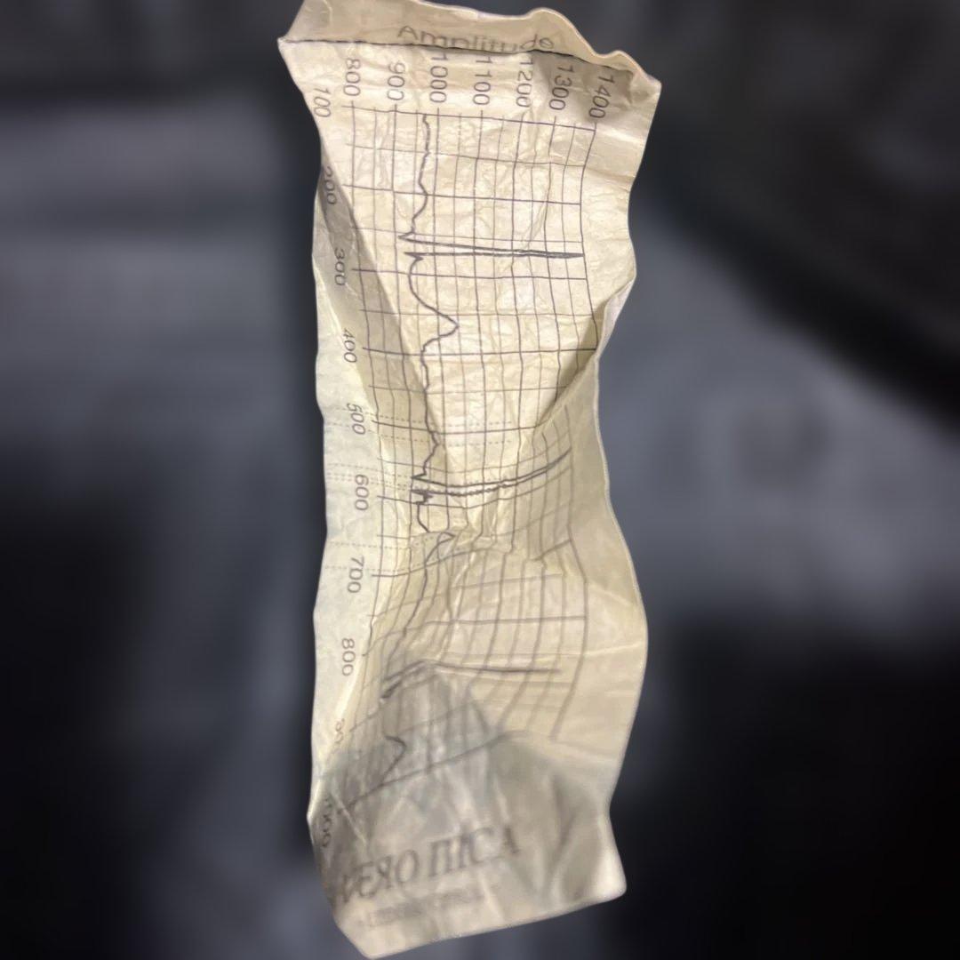 VERONICA ゲリラワイルドフレアパンツ