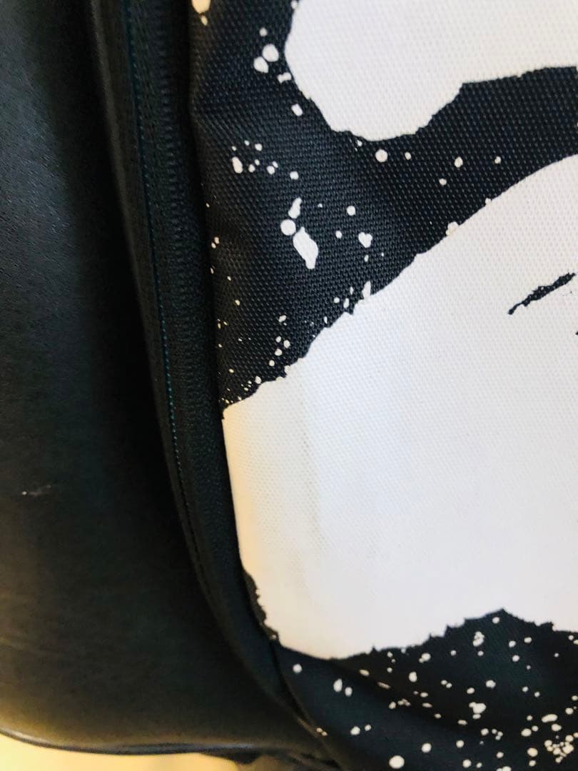 【送料込み】廃盤激レアMIZUNO BOLSA VOADORA キャディバッグ