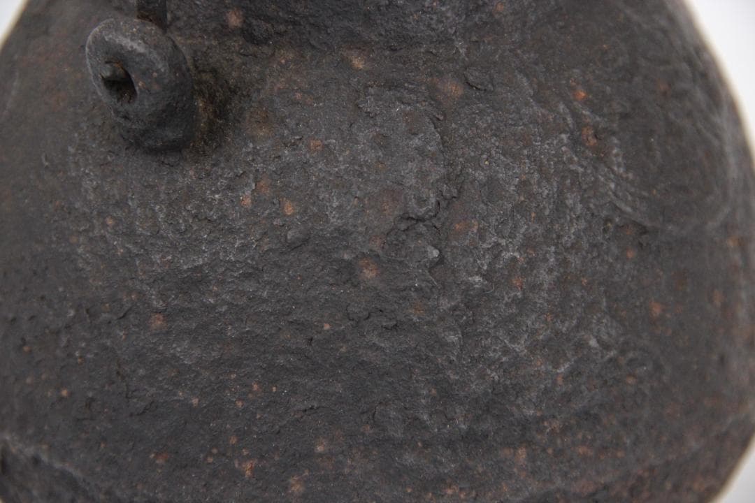 時代 鉄瓶 寿龍堂 造 饕餮紋 獣口 銅蓋 銀摘み　容量約900ml FJ9-1