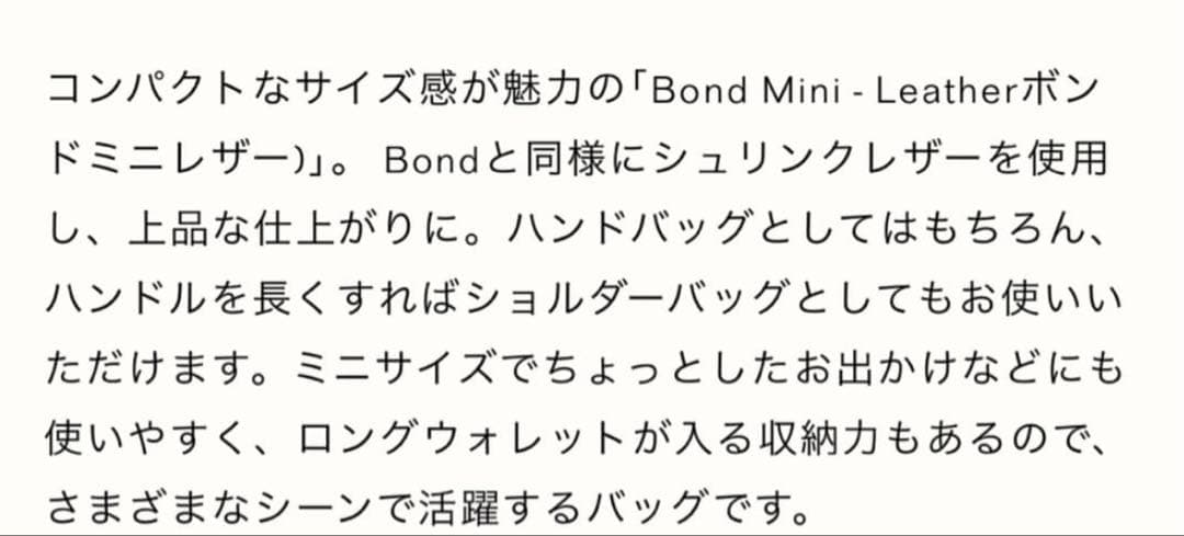 VASICボンドミニ　アッシュ　美品