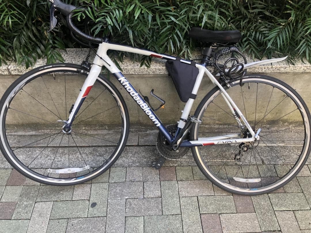 【船橋直接引渡のみ】Khodaa Bloom FARNA 700-105