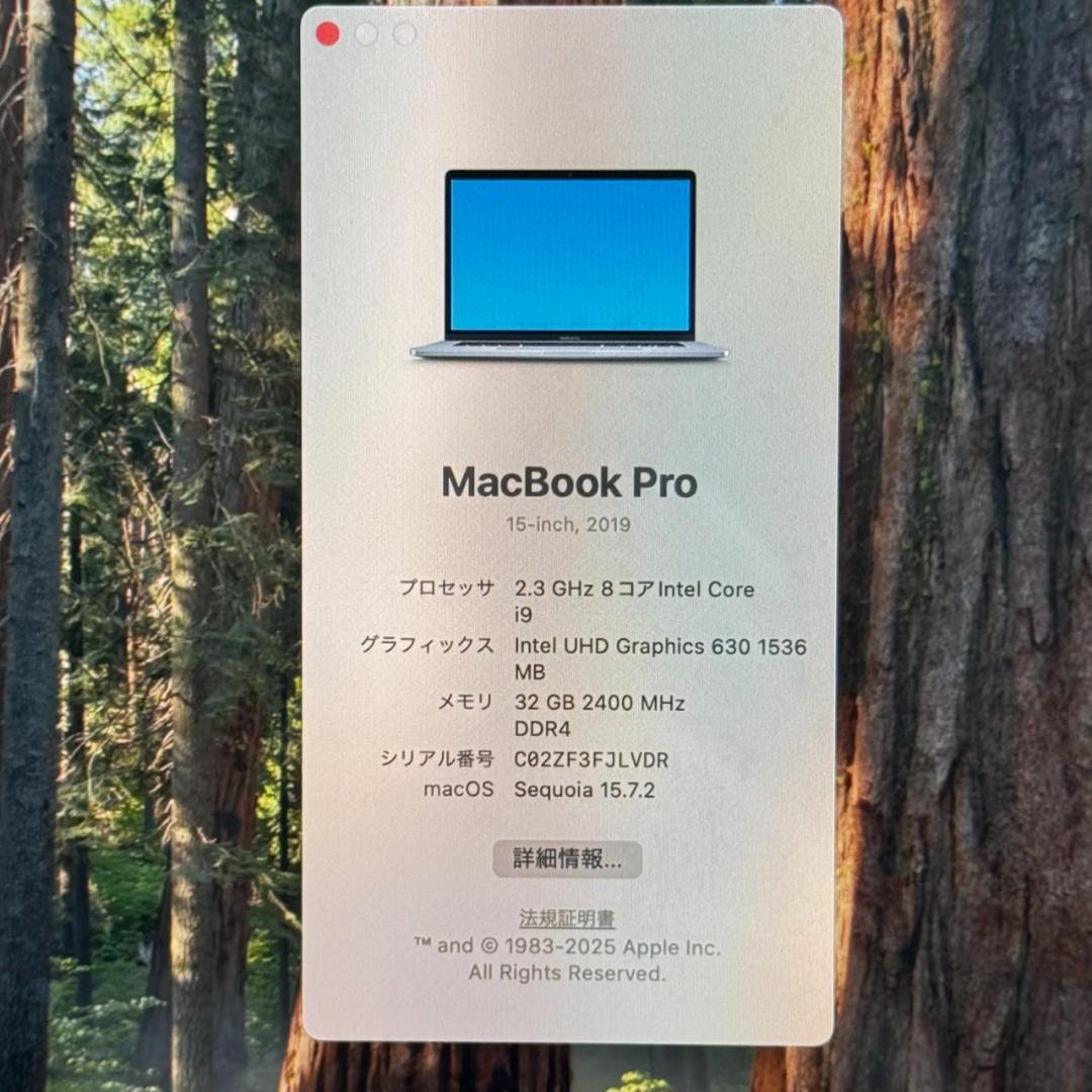 MacBook本体 P294Apple MacBook Pro i9 15inch 32GB 1TB