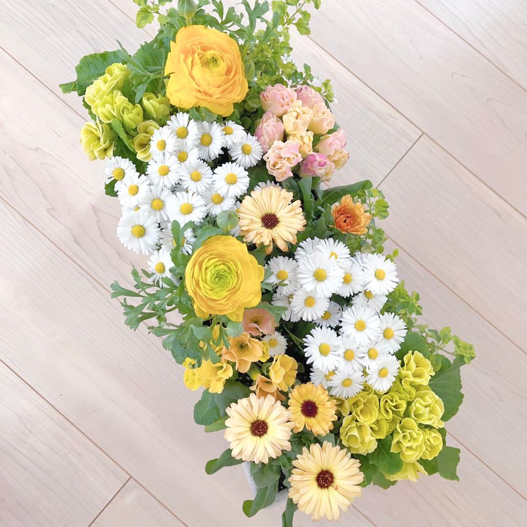 のんまま♬　季節のお花たくさん♪春の寄せ植え*大きめ鉢＊