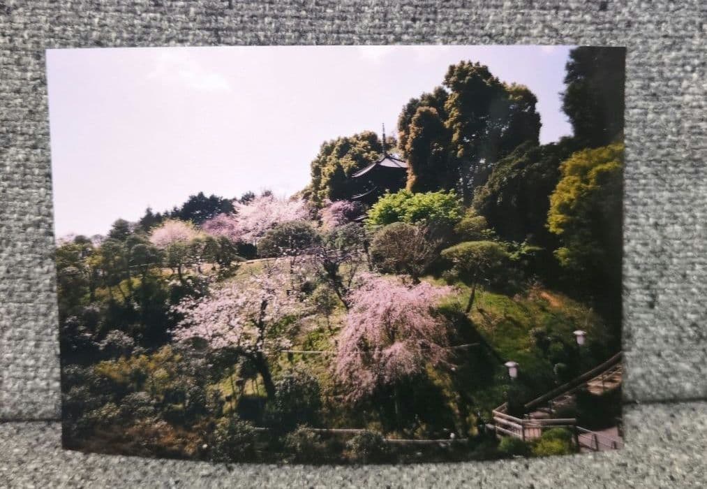 RICOH　GR1s リコー　フィルムカメラ　動作確認済