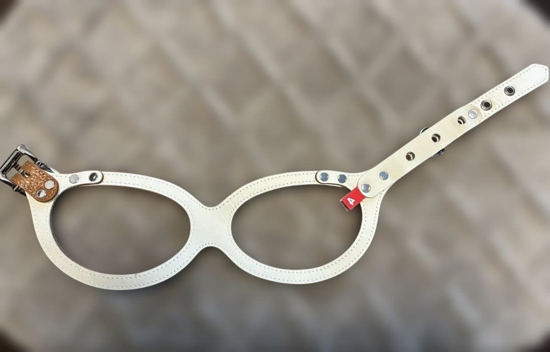 【正規品】Buddy Belts バディベルト 4号 キャラメル 犬用ハーネス