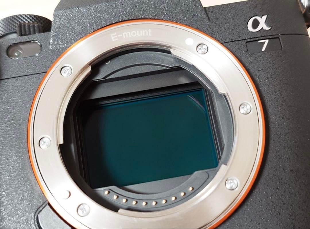 SONY a7iv おまけ付き　美品