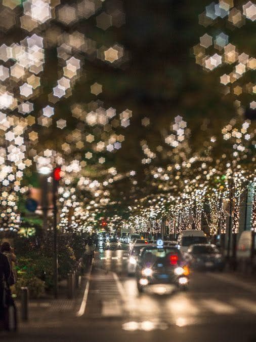 46未使用品【希少】星ボケIndustar61 L/Z MC 50mm f2.8