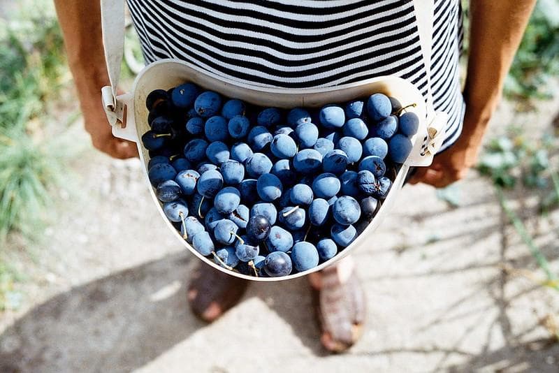 46未使用品【希少】星ボケIndustar61 L/Z MC 50mm f2.8