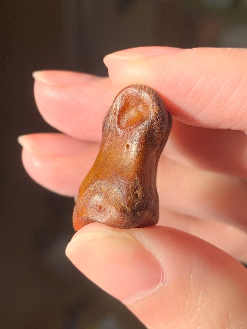 呪物　カパラ　チベット　カパーラ　頭蓋骨　クマントーン　プラクルアン　根付　密教