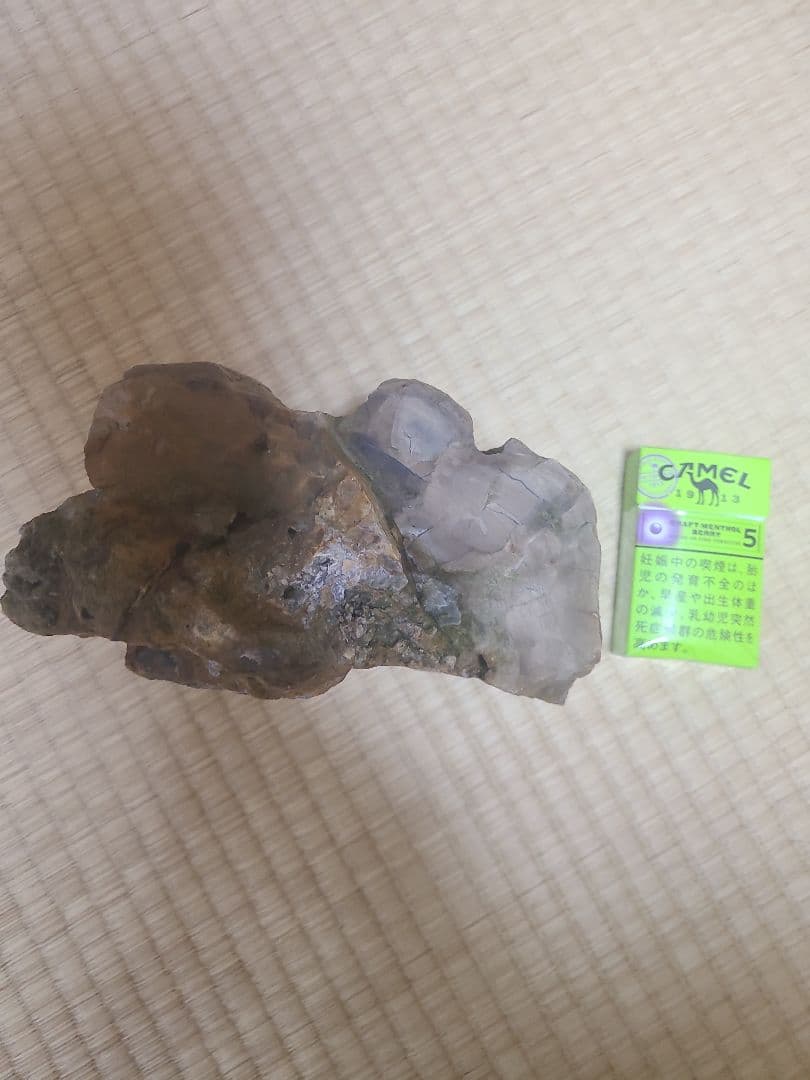 珪化木(3.8キロ)