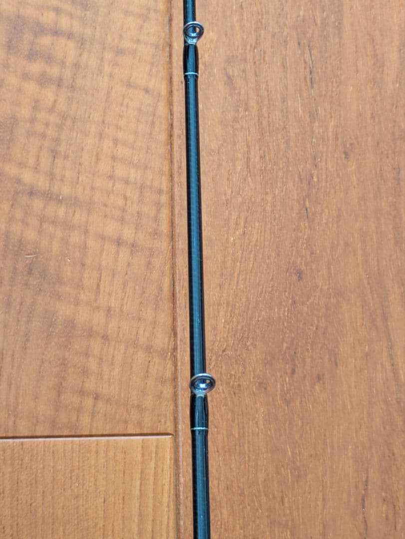 ダイワ　スロージギングロッド　19ソルティガ　SJ 61B-5