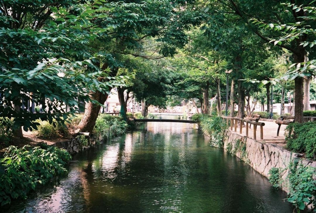 Olympus 35DCフィルムカメラ