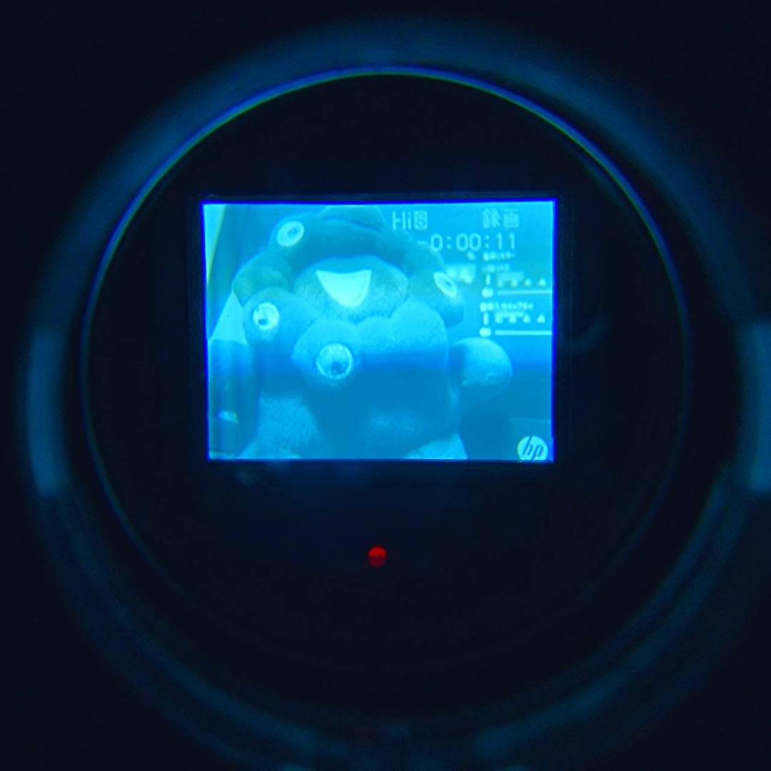 【動作確認済】超希少 美品 高画質 SONY Hi8 CCD-TR705 セット