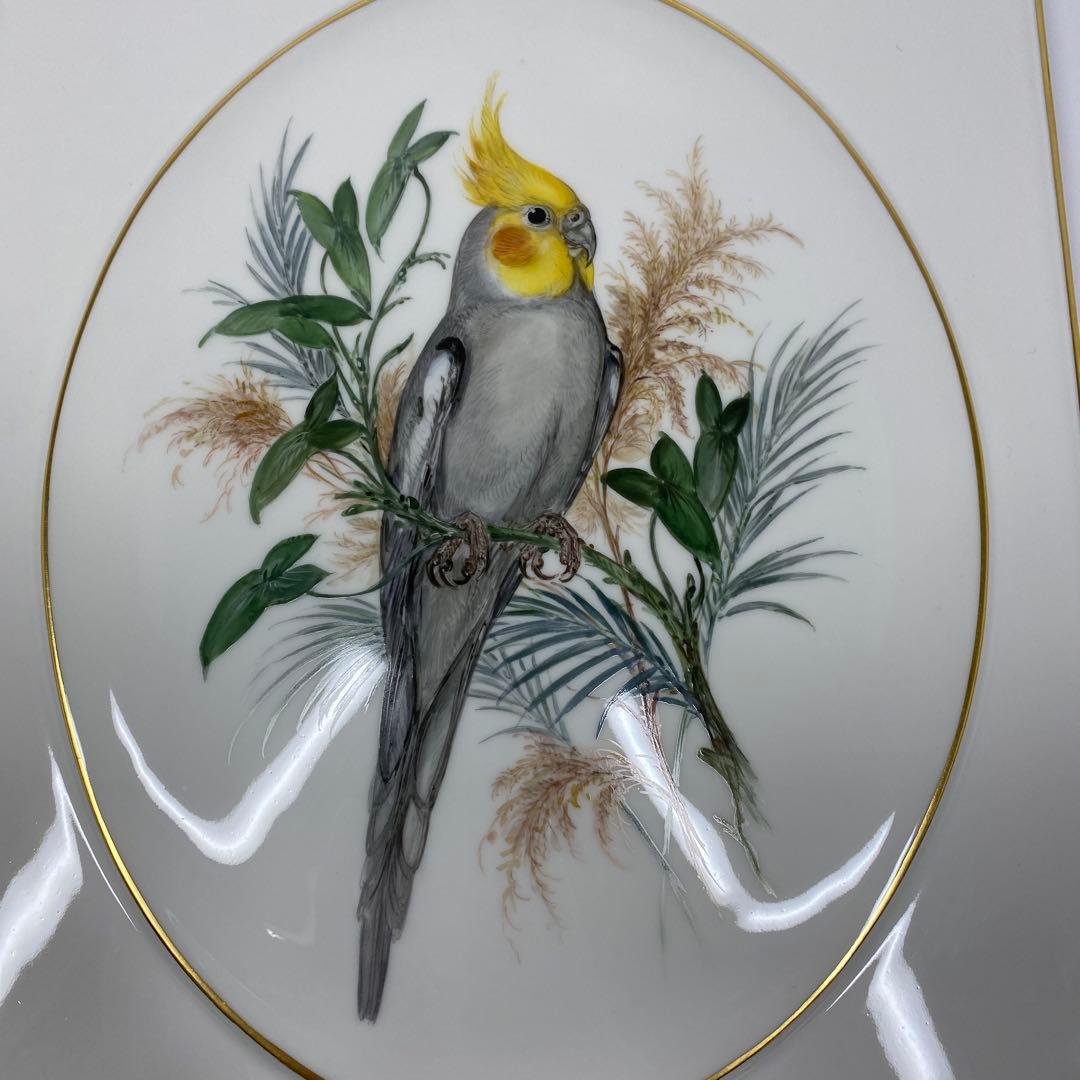 マイセン　インコ　プラーク　トニトコ　東さ7-0304☆2F