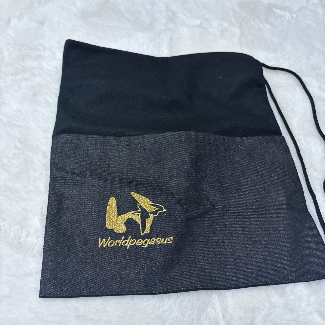 定価税込45650円！ワールドペガサス硬式用　ファーストミット　新品未使用袋付