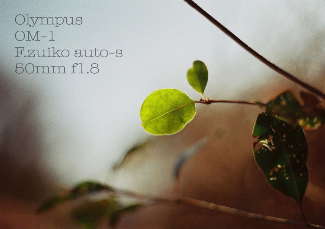 完動品＊初期保証！★オリンパスOM-1★フルセット★フィルム入門に★実写作例多数