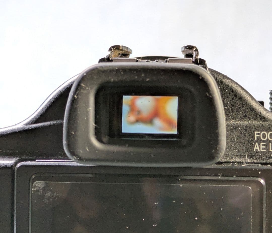 【古いけどキレイ】⚫PanasonicデジタルカメラLUMIX FZ50