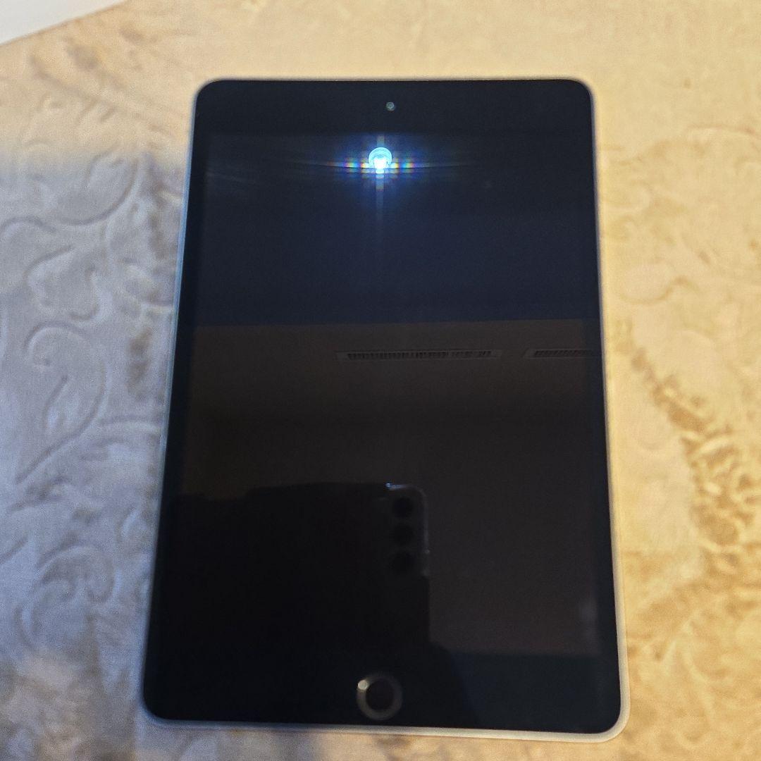 Apple iPad mini シルバー 本体第5世代　256G Wi-Fi