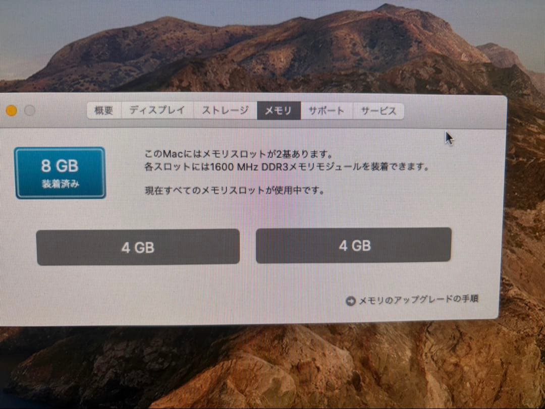 Macデスクトップ Apple iMac 21.5 Late 2013 1TB