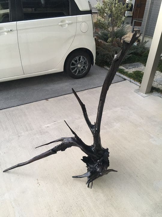 流木　漆塗り　1点もの　横幅1.014㎜　高さ1.027㎜　奥行900㎜