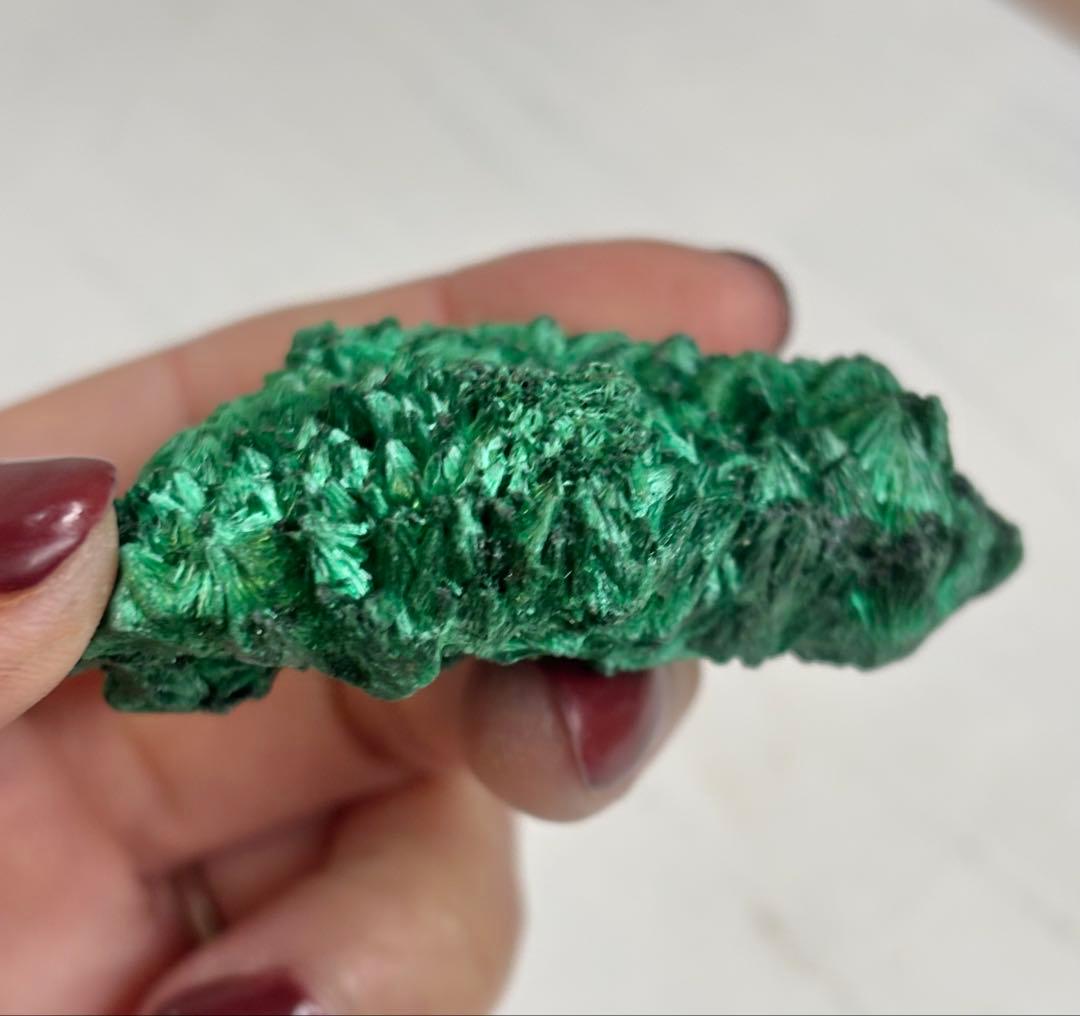 《放射状フラワー結晶が広がる》 マラカイト原石 天然・未研磨 鉱物標本