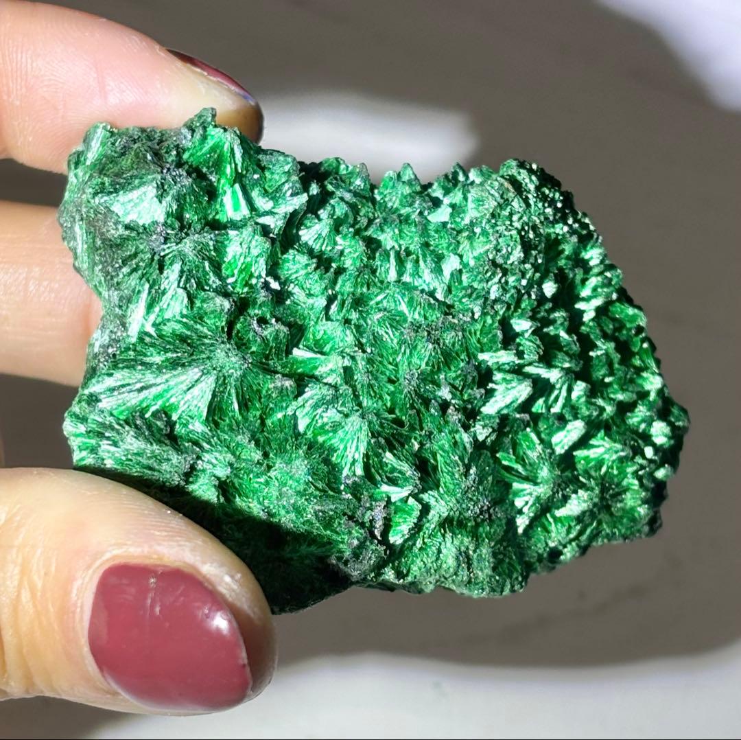 《放射状フラワー結晶が広がる》 マラカイト原石 天然・未研磨 鉱物標本