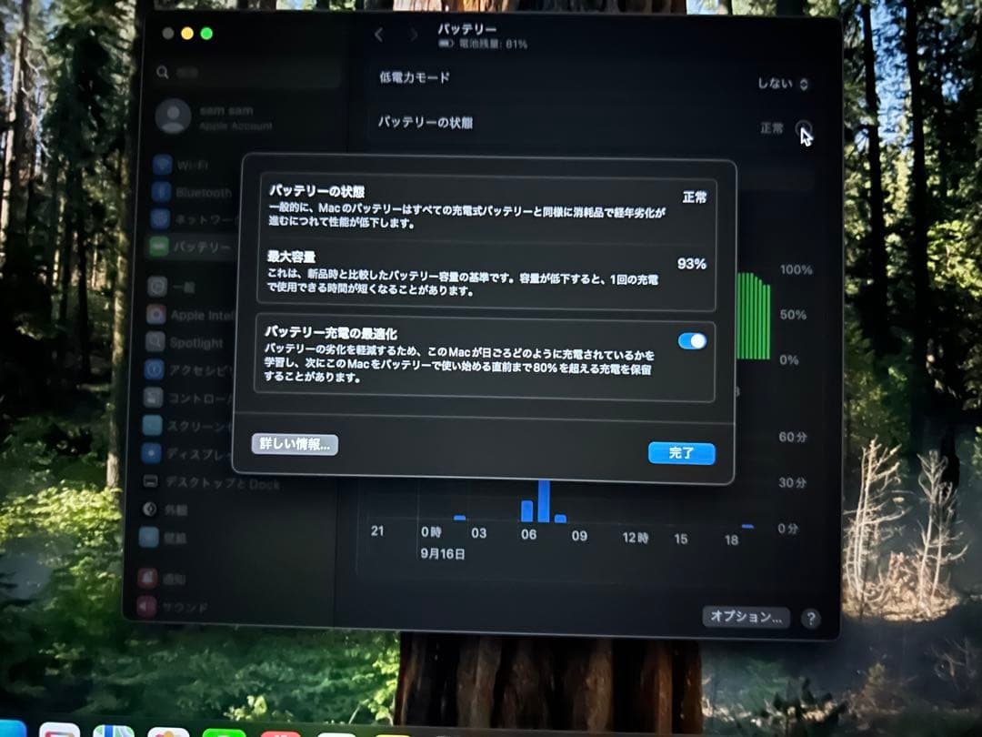 【本日限定値下げ】MacBookAirM1チップ メモリ8GB SSD256GB