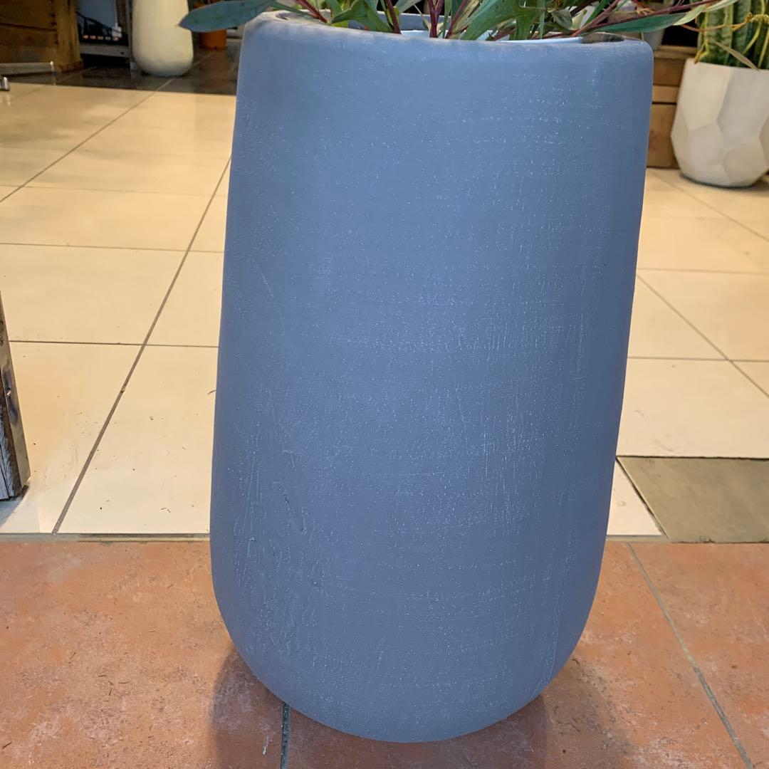 グレビレア シナフェア ファイバー鉢