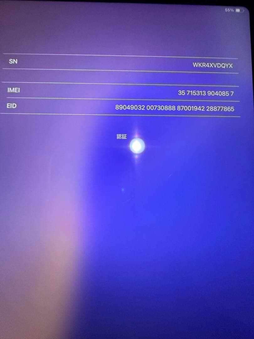 Apple iPad mini カバー付き