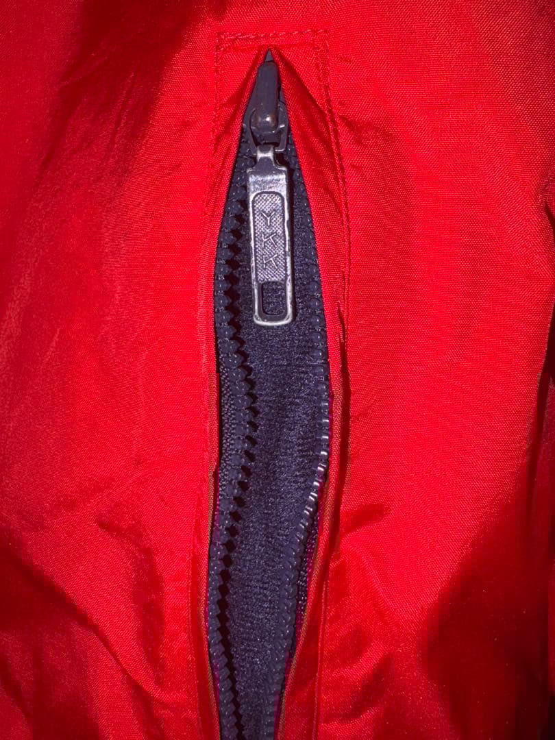 シェルドシンチラ　patagonia