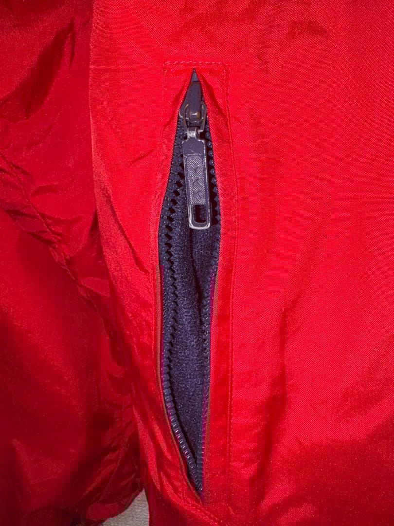 シェルドシンチラ　patagonia