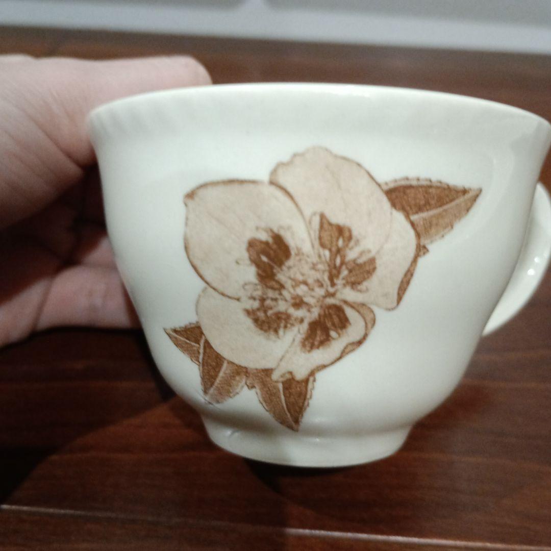 ジュヌビエーブ・レチュ　GENEVIEVE LETHU　クリスマスローズ柄