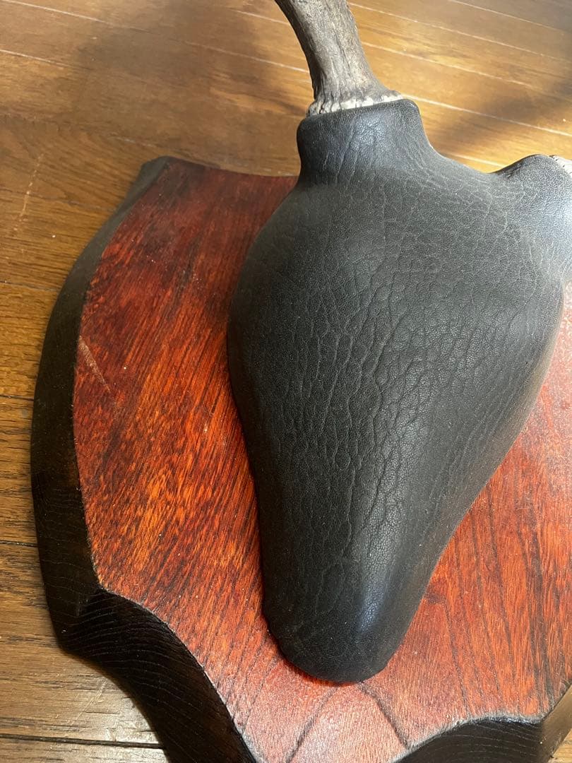 鹿の角スカル　日本鹿　出品禁止品に該当しません