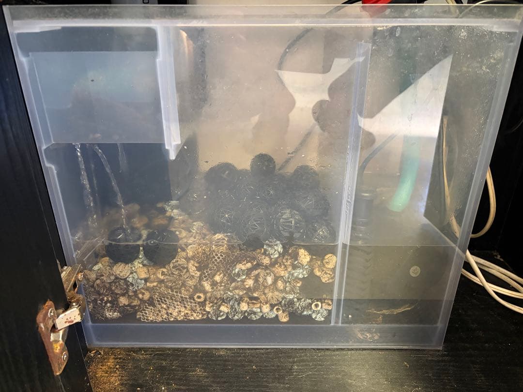 対面受け渡し限定‼️ オーバーフロー水槽　熱帯魚　濾過槽　ポンプ・流木・ろ材付き