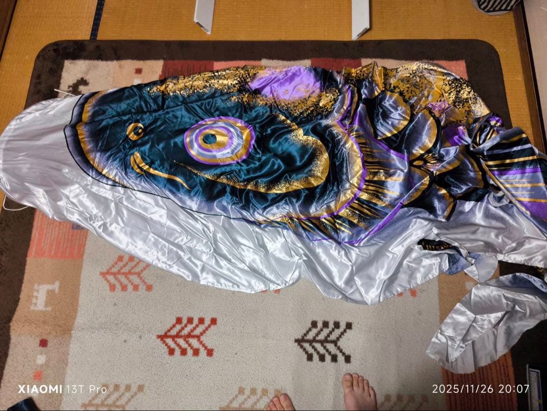 鯉のぼり　5m