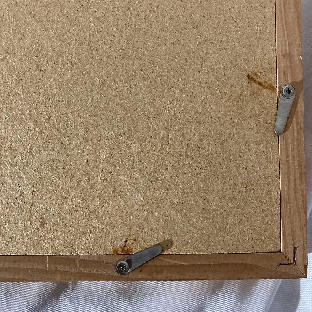 赤穴　宏先生　百魚図　色紙