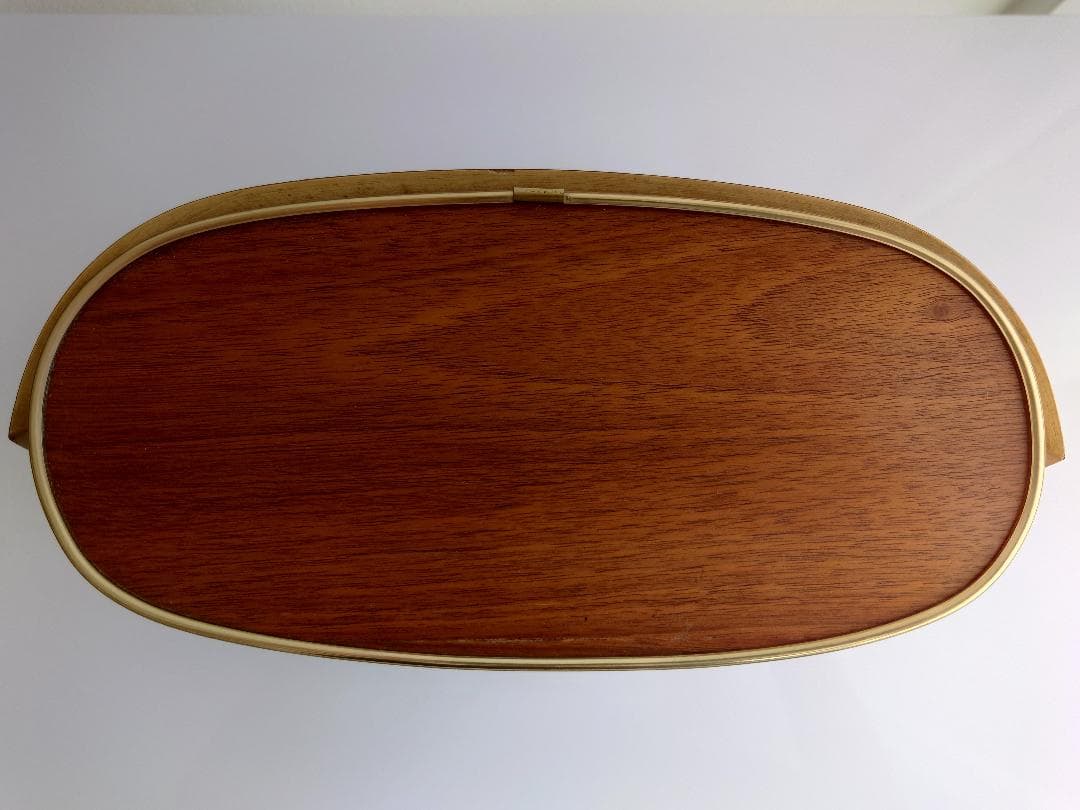 Telefunken RS 1 モノラルアンプ　セット