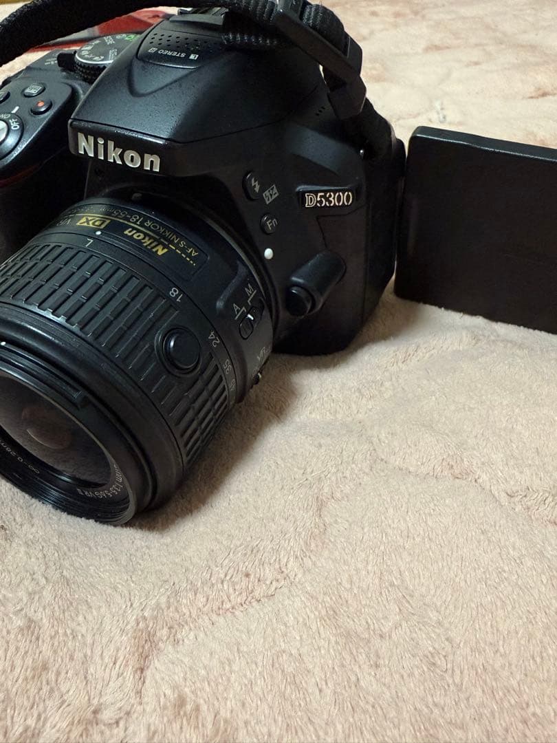 NikonD5300ダブルズームキット